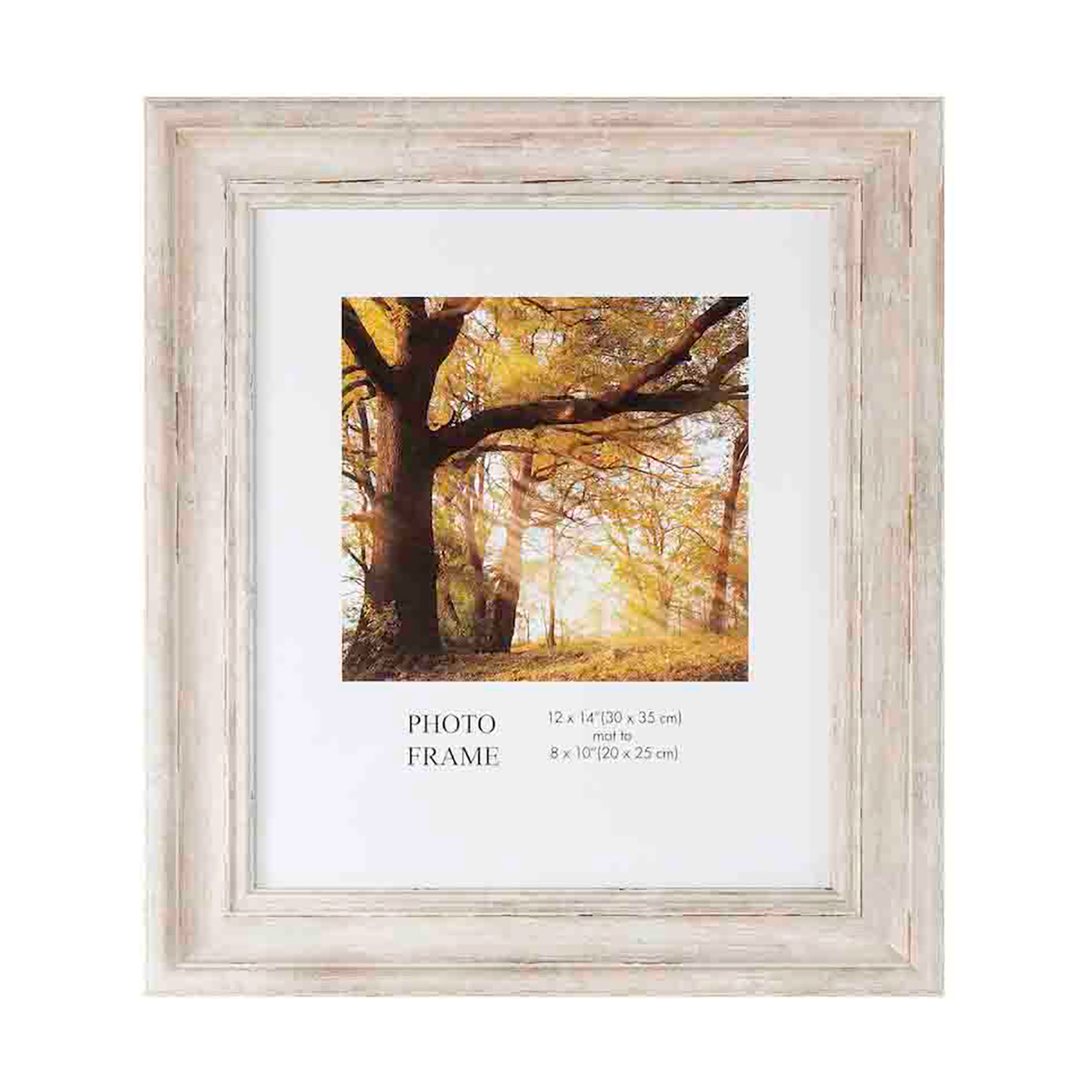 Wren Photo Frame with Mount 8x10" Home Store + More